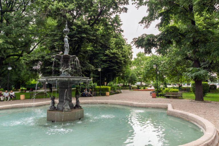 Trees at Tsar Simeon Garden in City of Plovdiv, Bulgaria